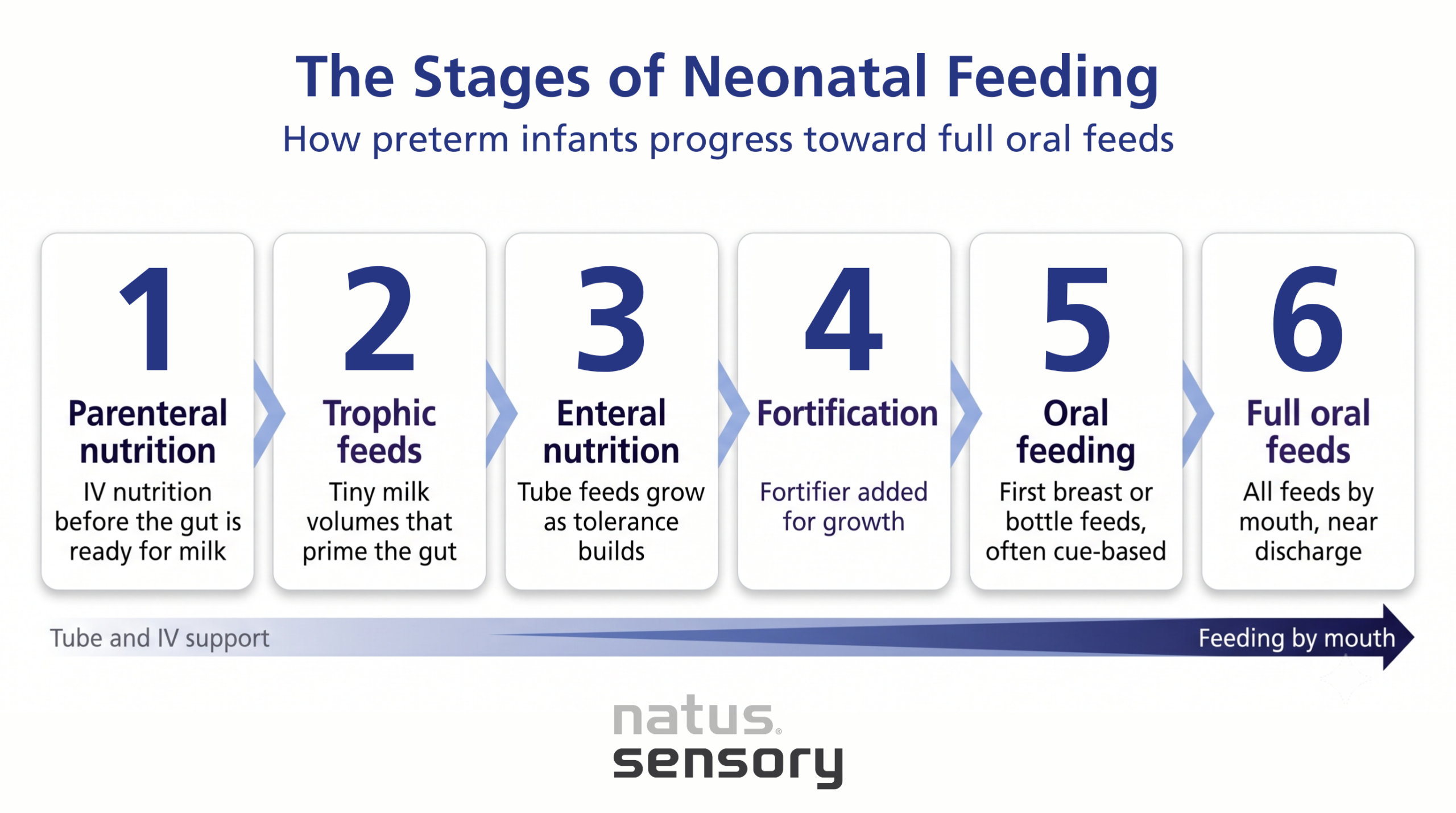 The stages of neonatal feeding
