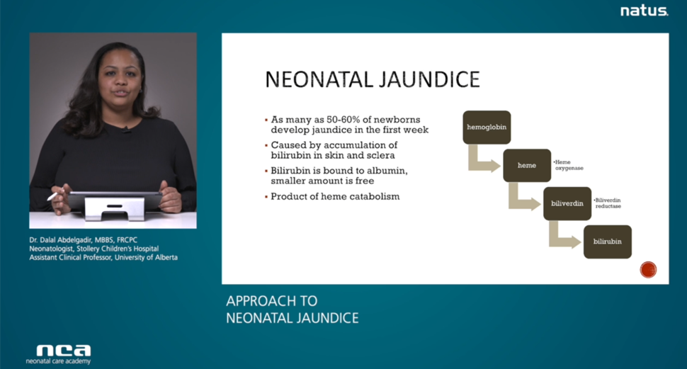 Approach to Neonatal Jaundice